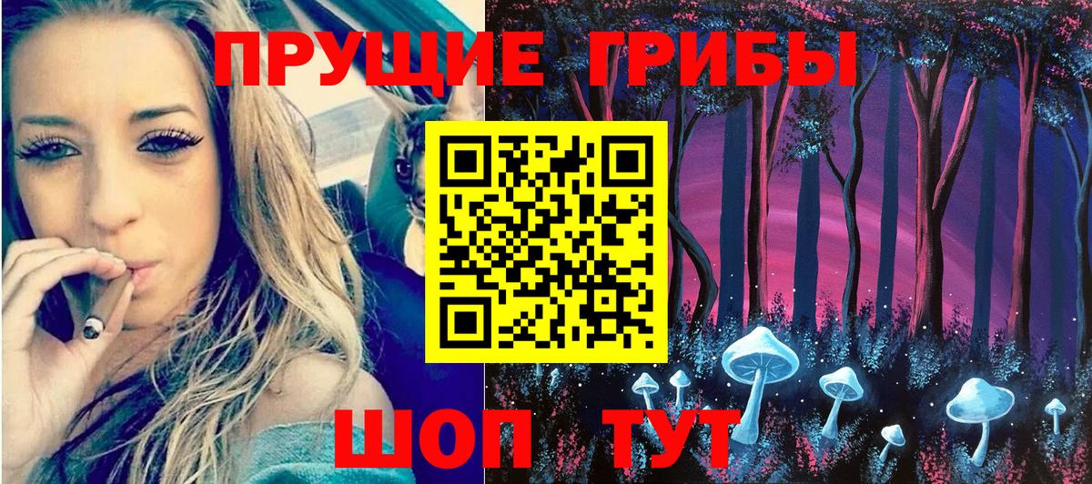 Псилоцибиновые грибы GOLDEN TEACHER Выборг