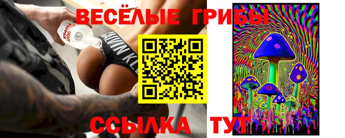 Выборг  Галлюциногенные грибы MAGIC MUSHROOMS  Вход с VPN 